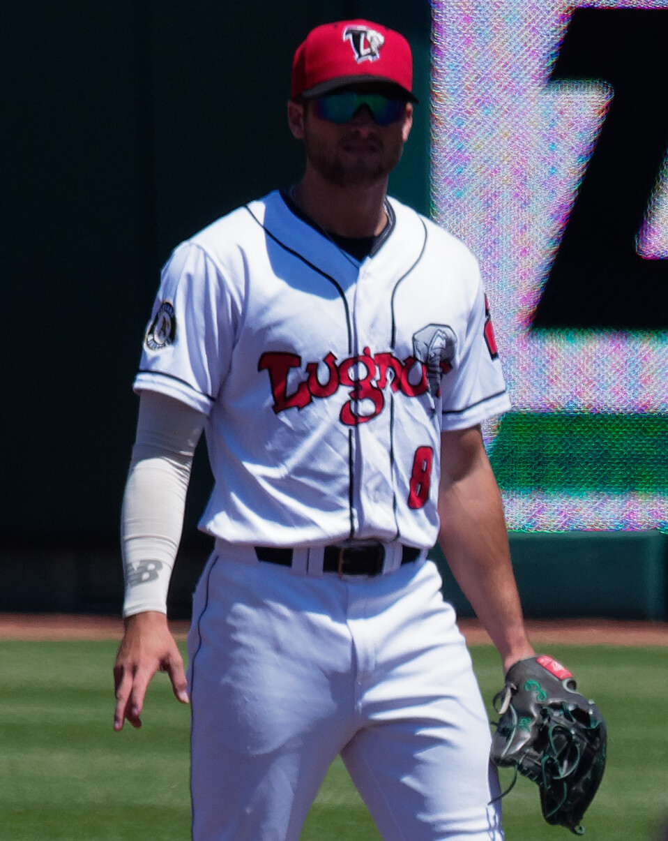 Coronary Plaque Regression: New Hope for Heart Health